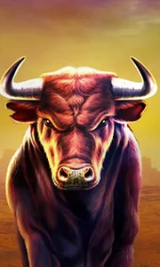 Black Bull